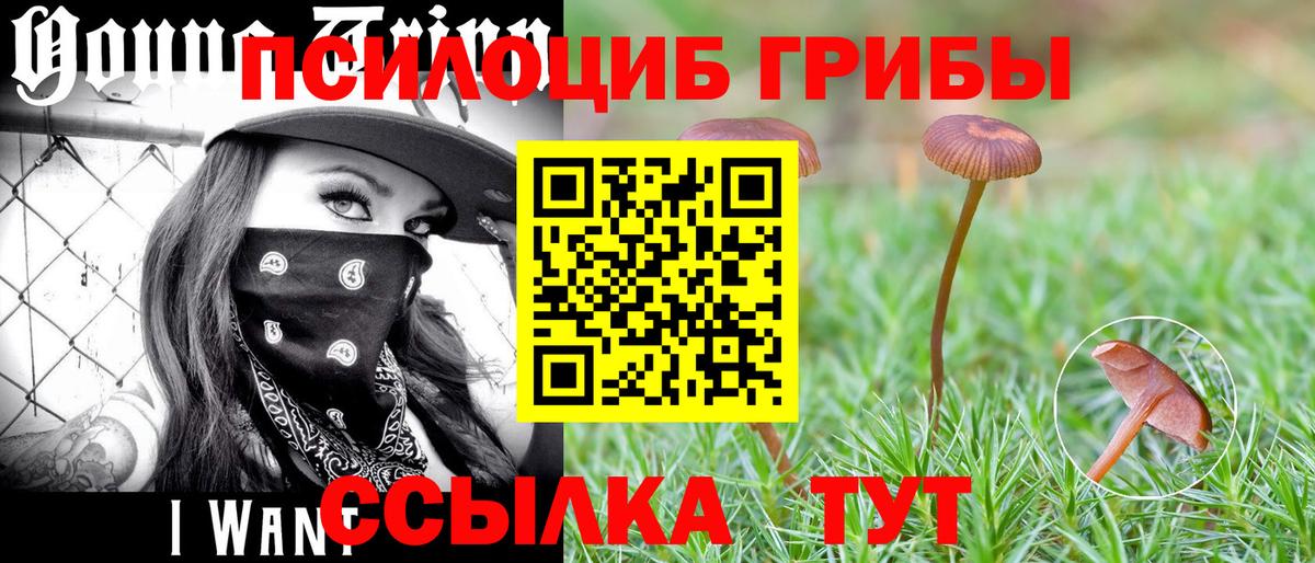Галлюциногенные грибы ЛСД Новый Уренгой