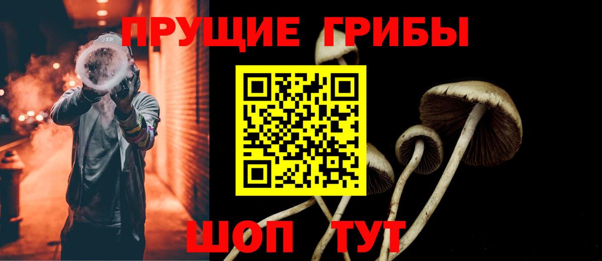 Галлюциногенные грибы мухоморы  Вход с VPN  Галлюциногенные грибы мицелий  Новый Уренгой 